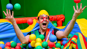 ראש ביצה - המופע